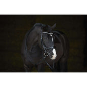 Kieffer Briglia Amy Shine Nero