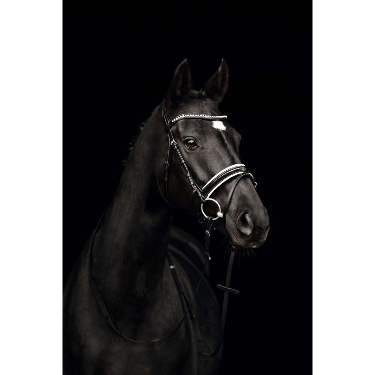Kieffer Filetto Comfort Paris Nero/Bianco