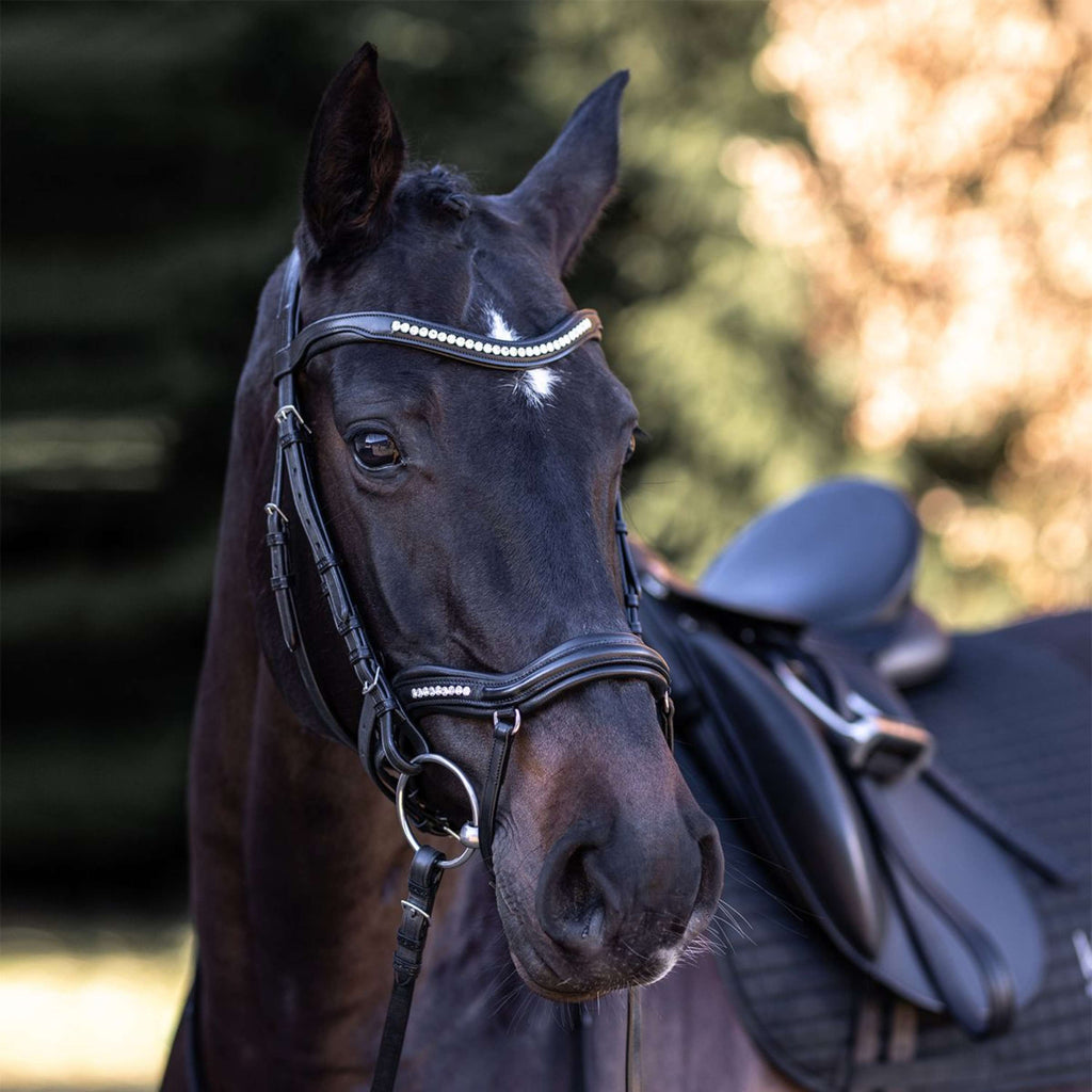 Kieffer Briglia Ultrasoft Luna Nero