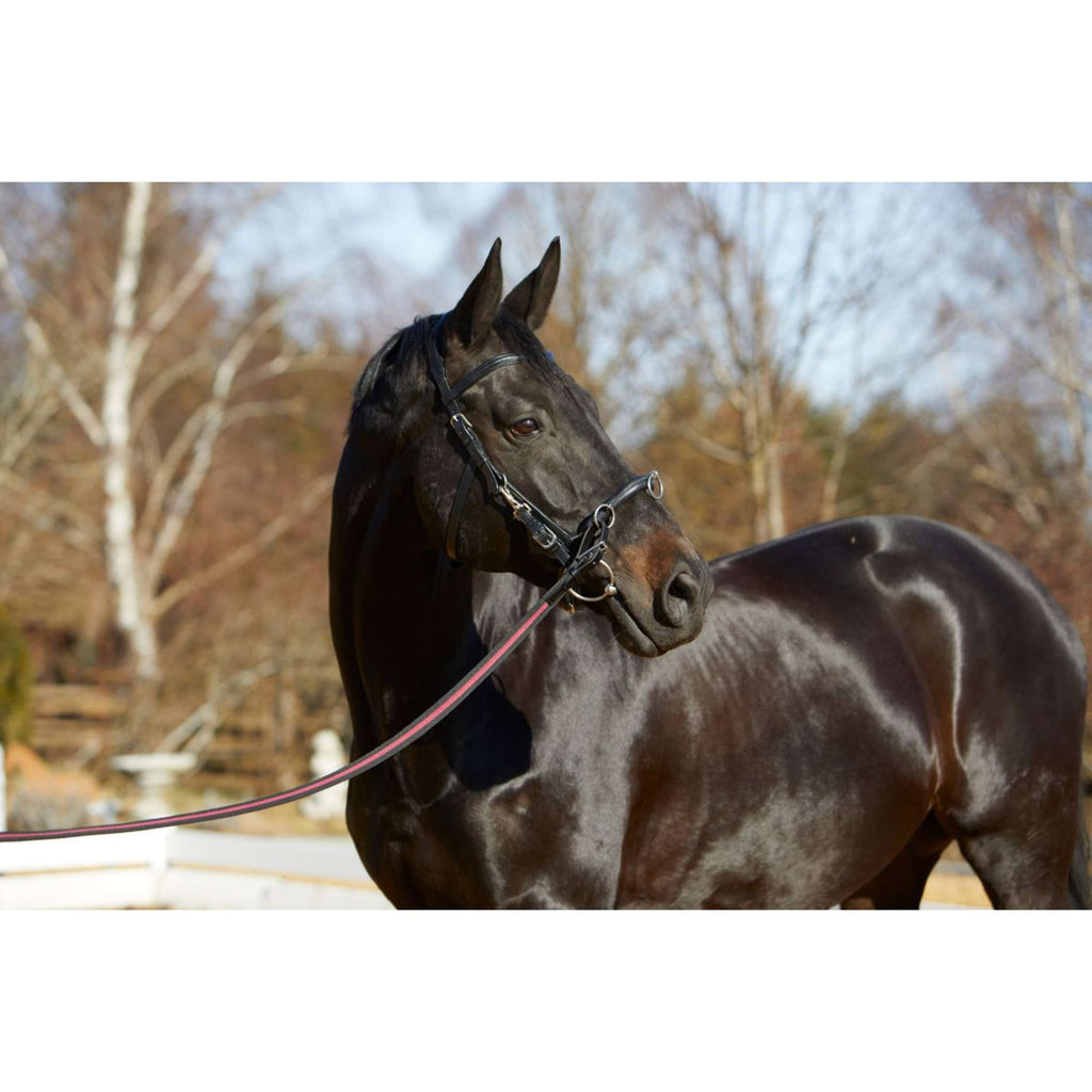 Kieffer Cavezzone Utrasoft Nero