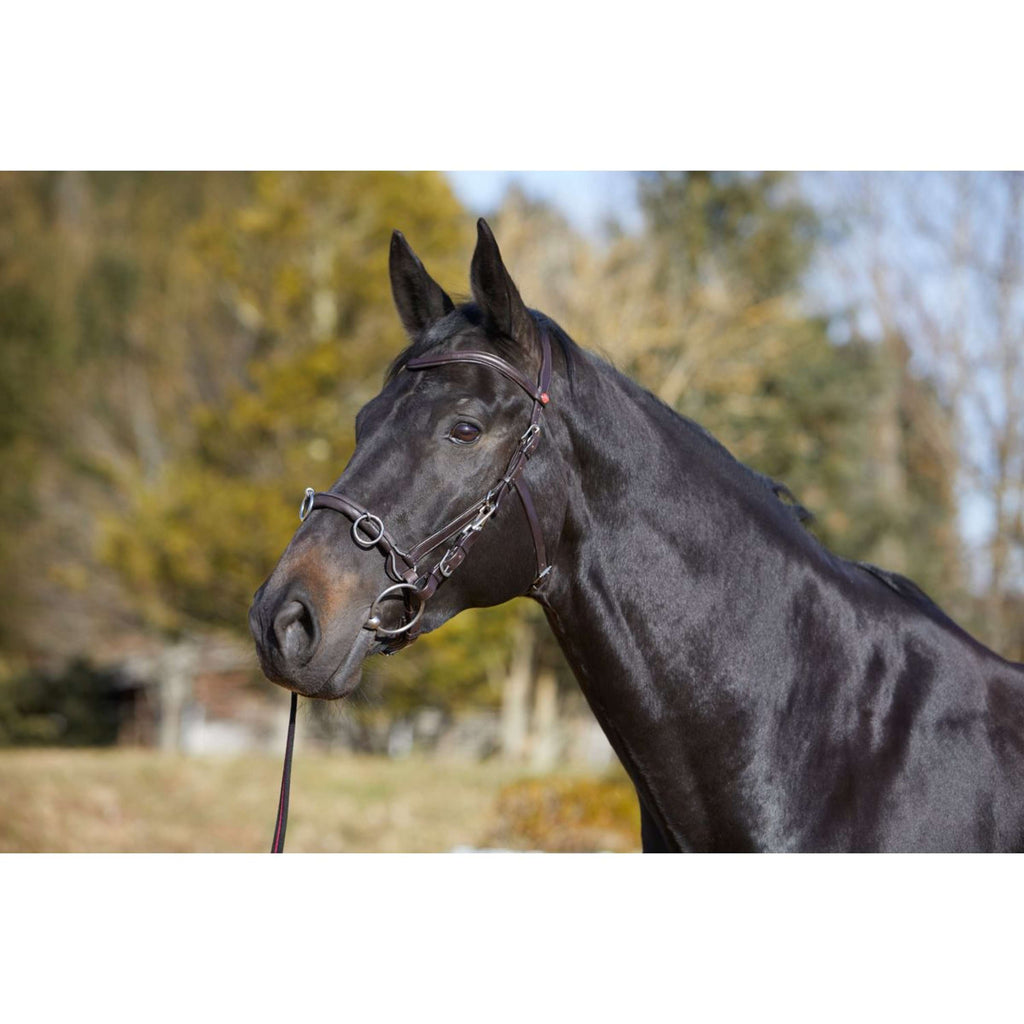 Kieffer Cavezzone Utrasoft Nero