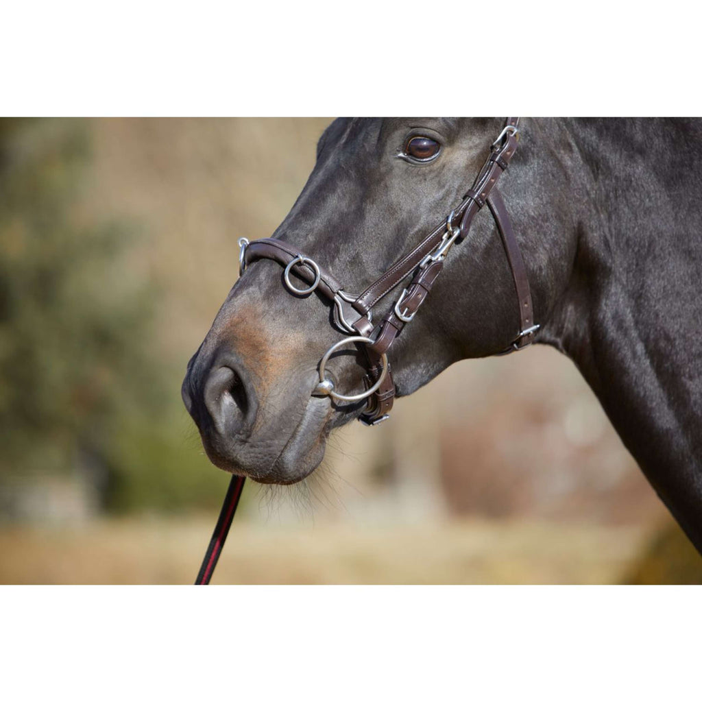 Kieffer Cavezzone Utrasoft Nero