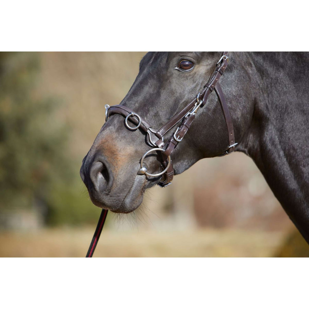 Kieffer Cavezzone Utrasoft Nero