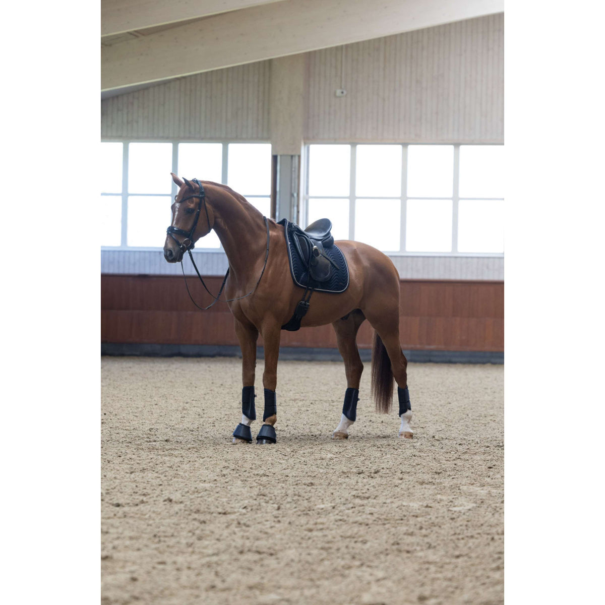 Kingsland Sottosella KLLucca Cooling Dressage Navy