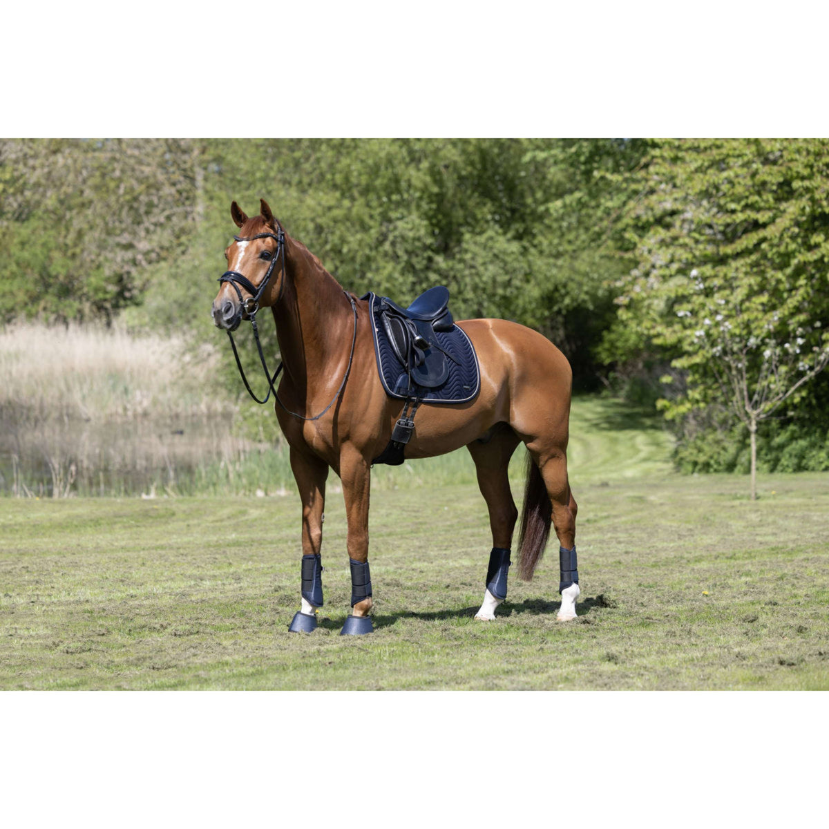 Kingsland Sottosella KLLucca Cooling Dressage Navy