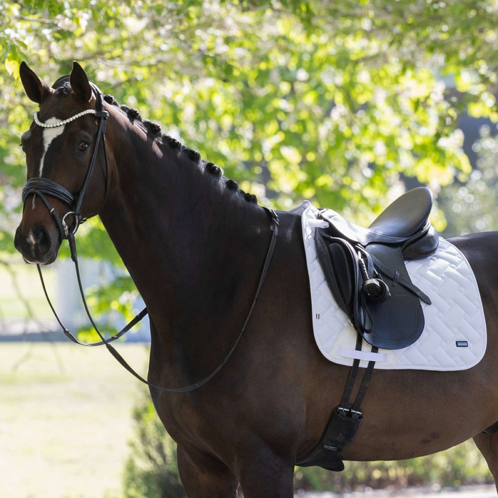 Kingsland Sottosella KLLexie Dressage Bianco
