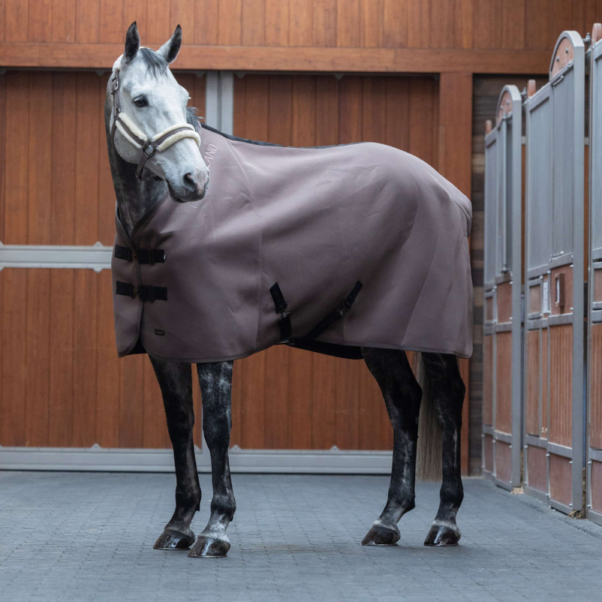 Kingsland Coperta Rinfrescante KLLexie Brown Iron