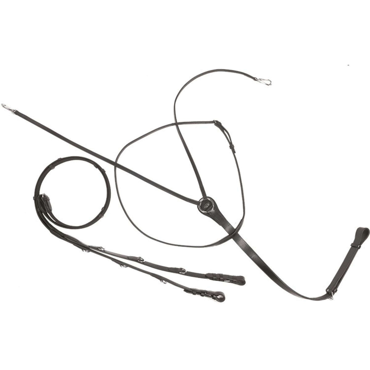 Kavalkade Redini Thiedemann Marrone