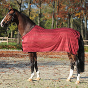 Kavalkade Coperta Antimosche Stripe Bordeaux