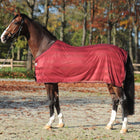 Kavalkade Coperta Antimosche Stripe Bordeaux