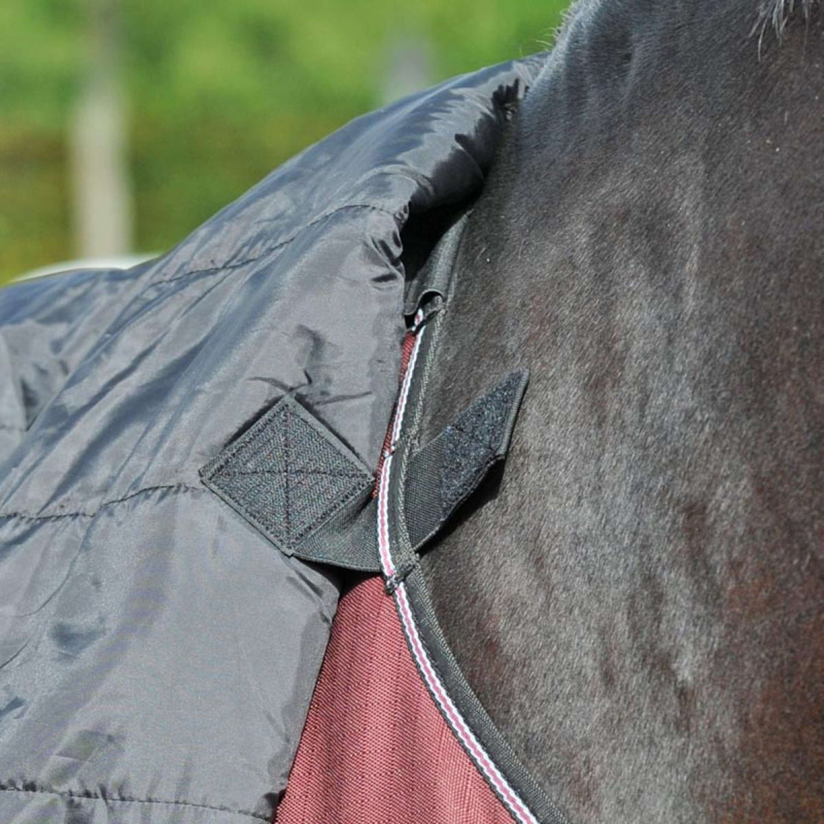 Kavalkade Copricollo Alaska IV Nero