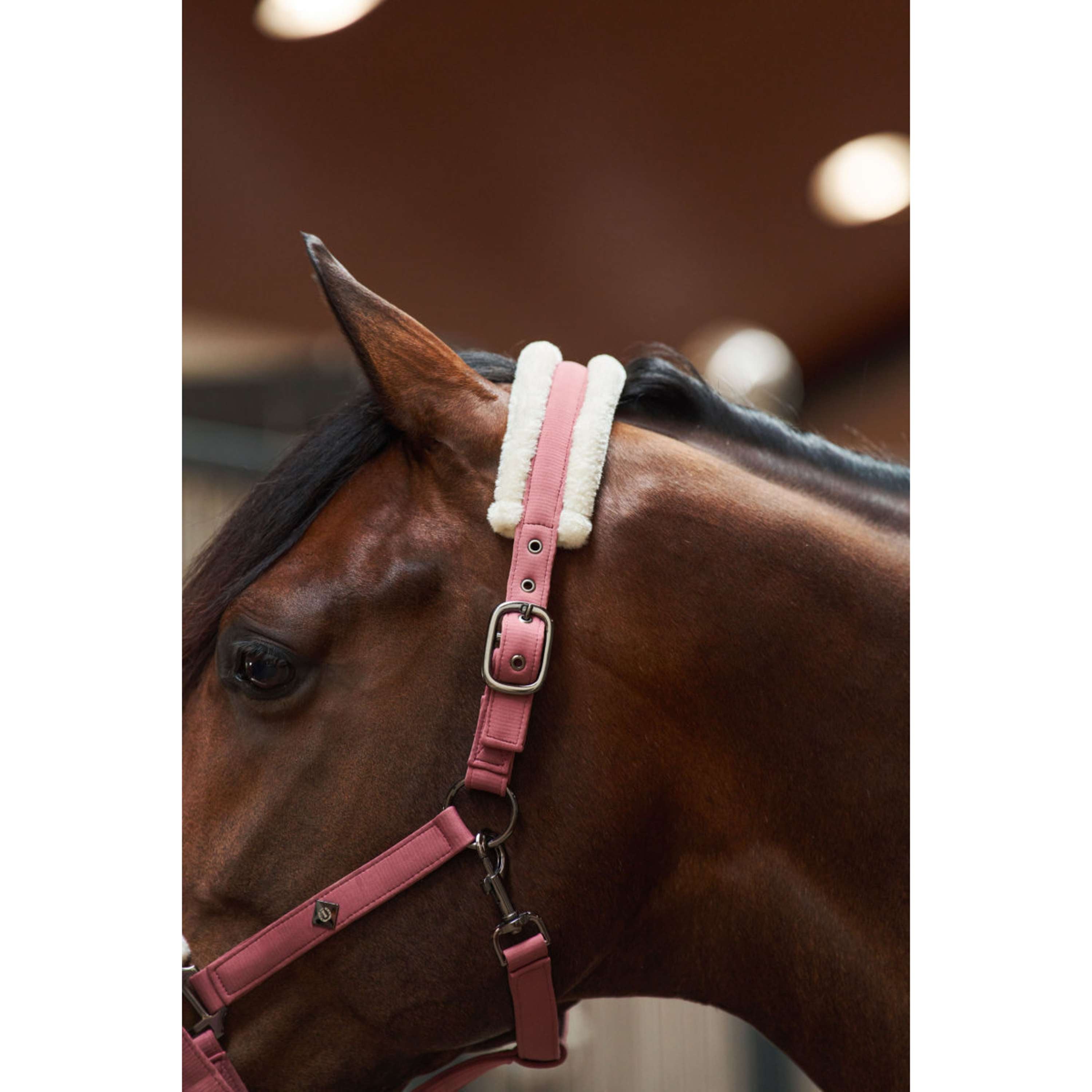 Imperial Riding Cavezza IRHJewel Mauve
