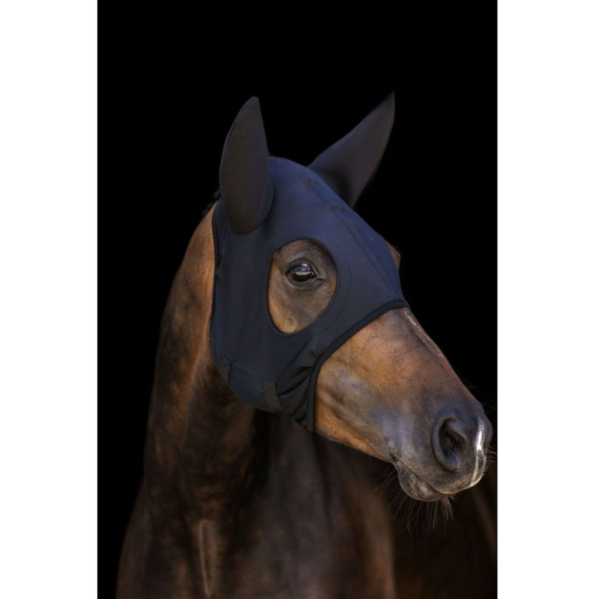 Lami-Cell Maschera Titanium Nero