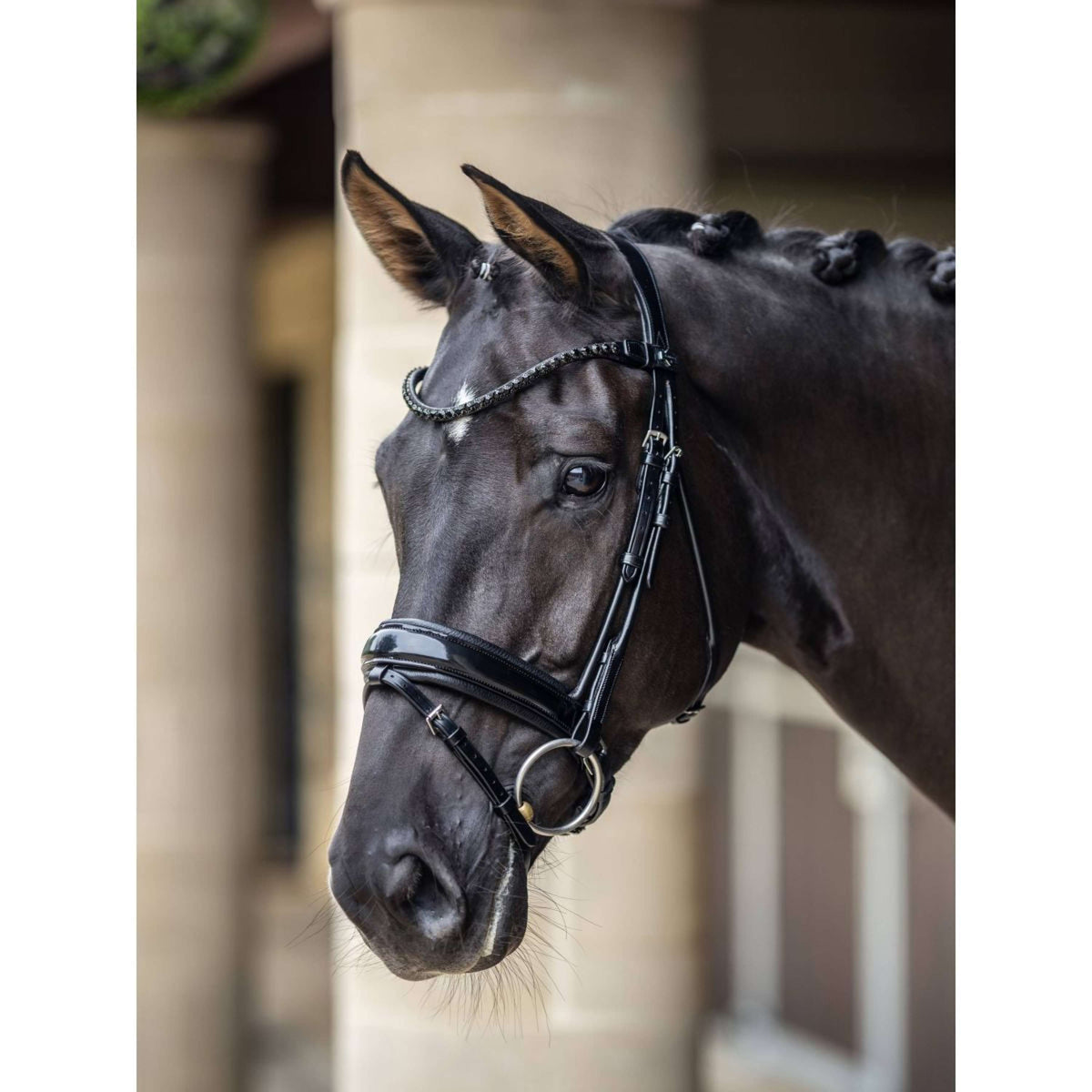 LeMieux Briglia Kudos Patent Dressage Nero