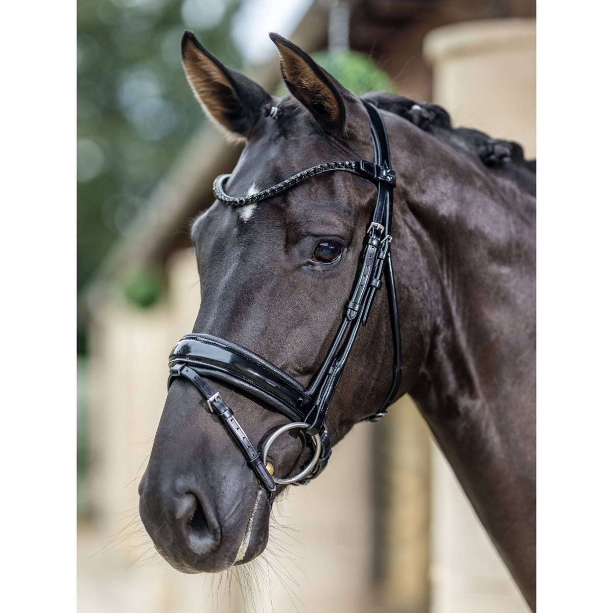 LeMieux Briglia Kudos Patent Dressage Nero
