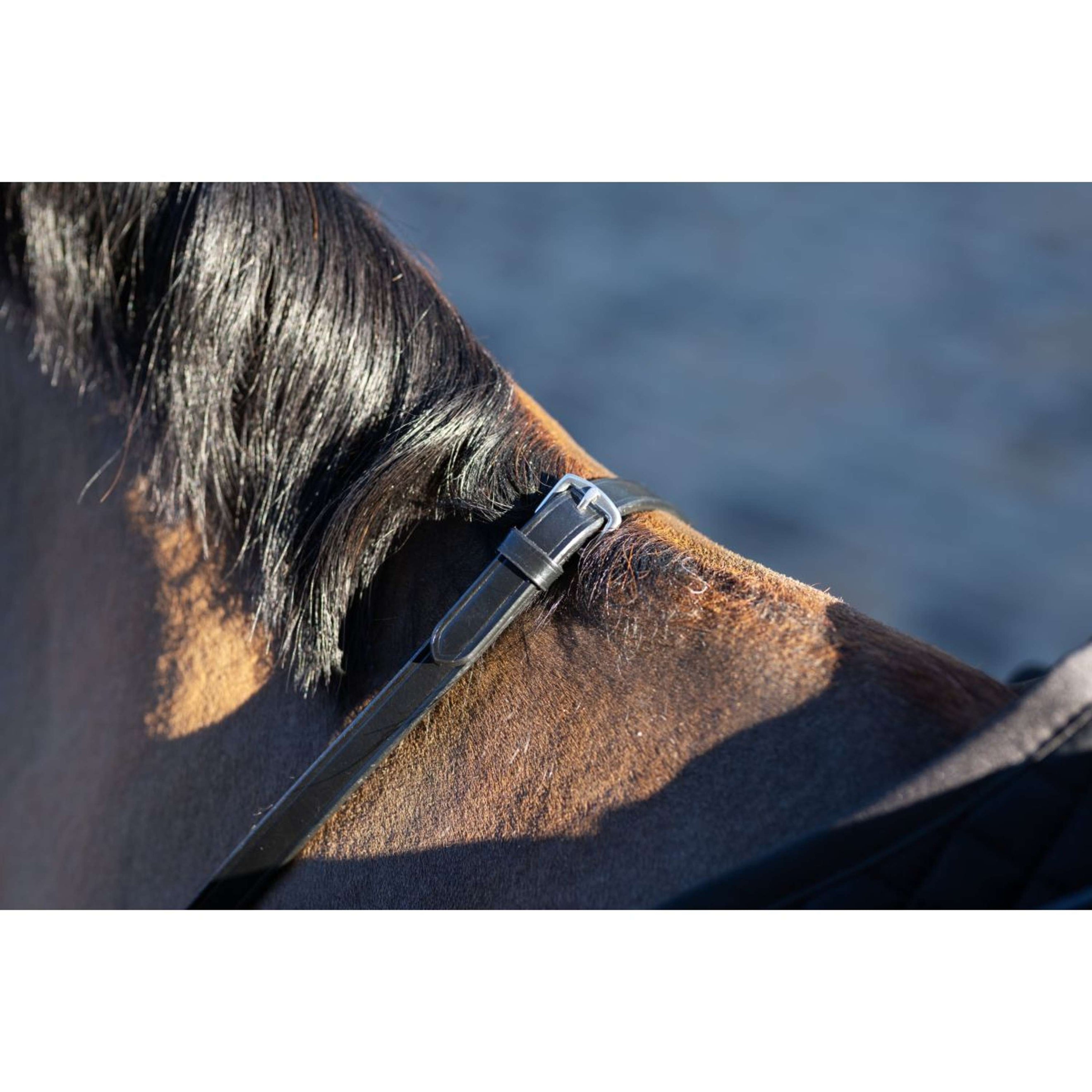 LeMieux Redini Arika Soft Rubber with Stopper Marrone/Argento LeMieux Redini Arika Soft Rubber with Stopper Marrone/Argento