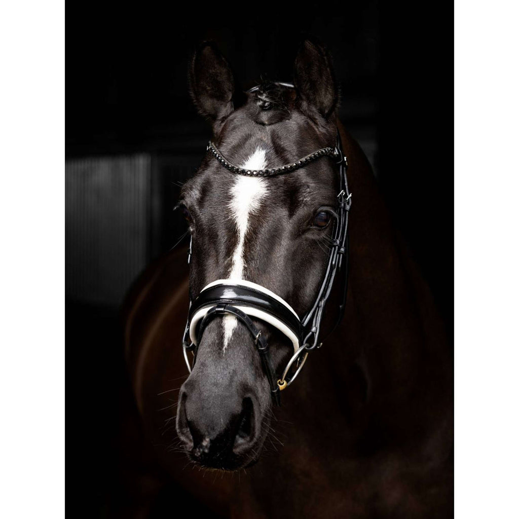 LeMieux Briglia Kudos Patent Dressage Nero Argento