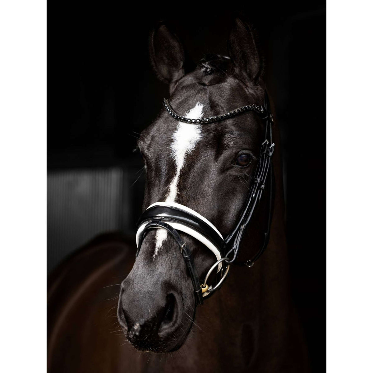 LeMieux Briglia Kudos Patent Dressage Nero Argento