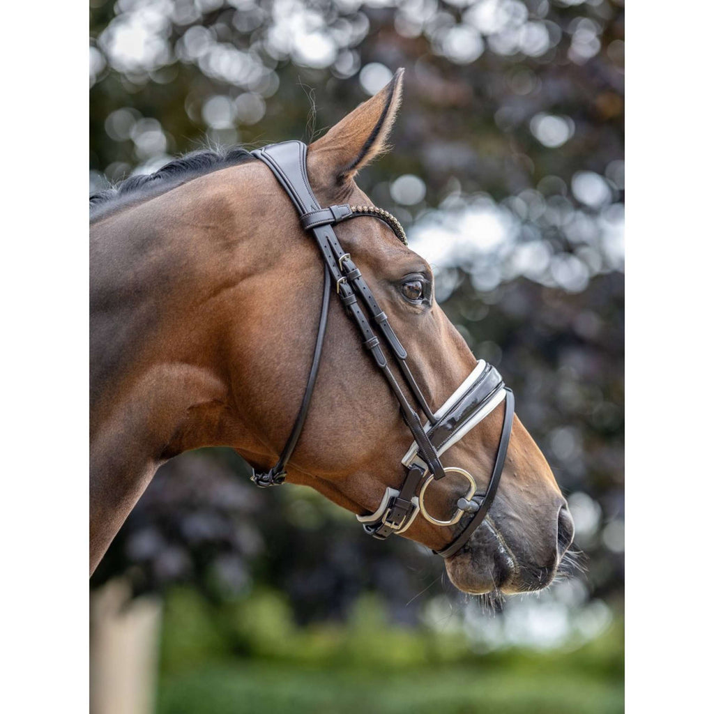 LeMieux Briglia Kudos Patent Dressage Marrone/Bianco