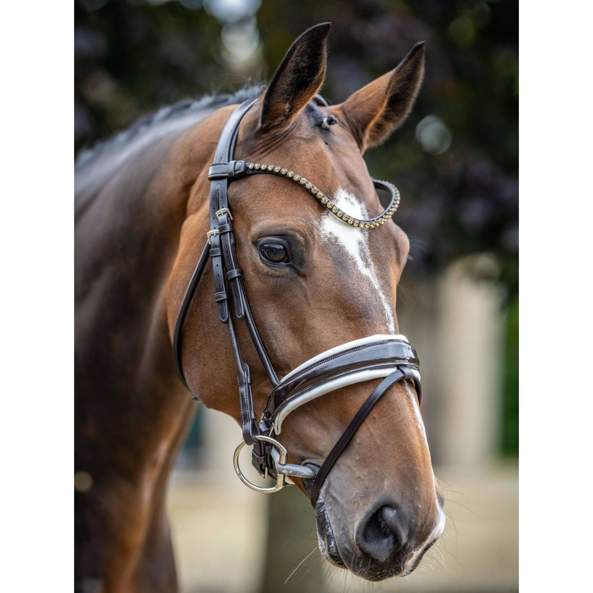 LeMieux Briglia Kudos Patent Dressage Marrone/Bianco