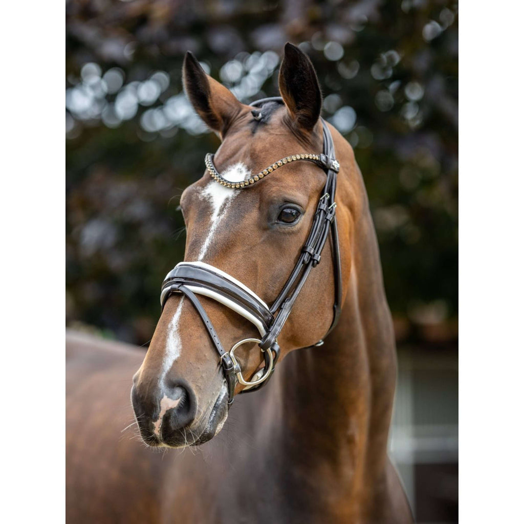 LeMieux Briglia Kudos Patent Dressage Marrone/Bianco