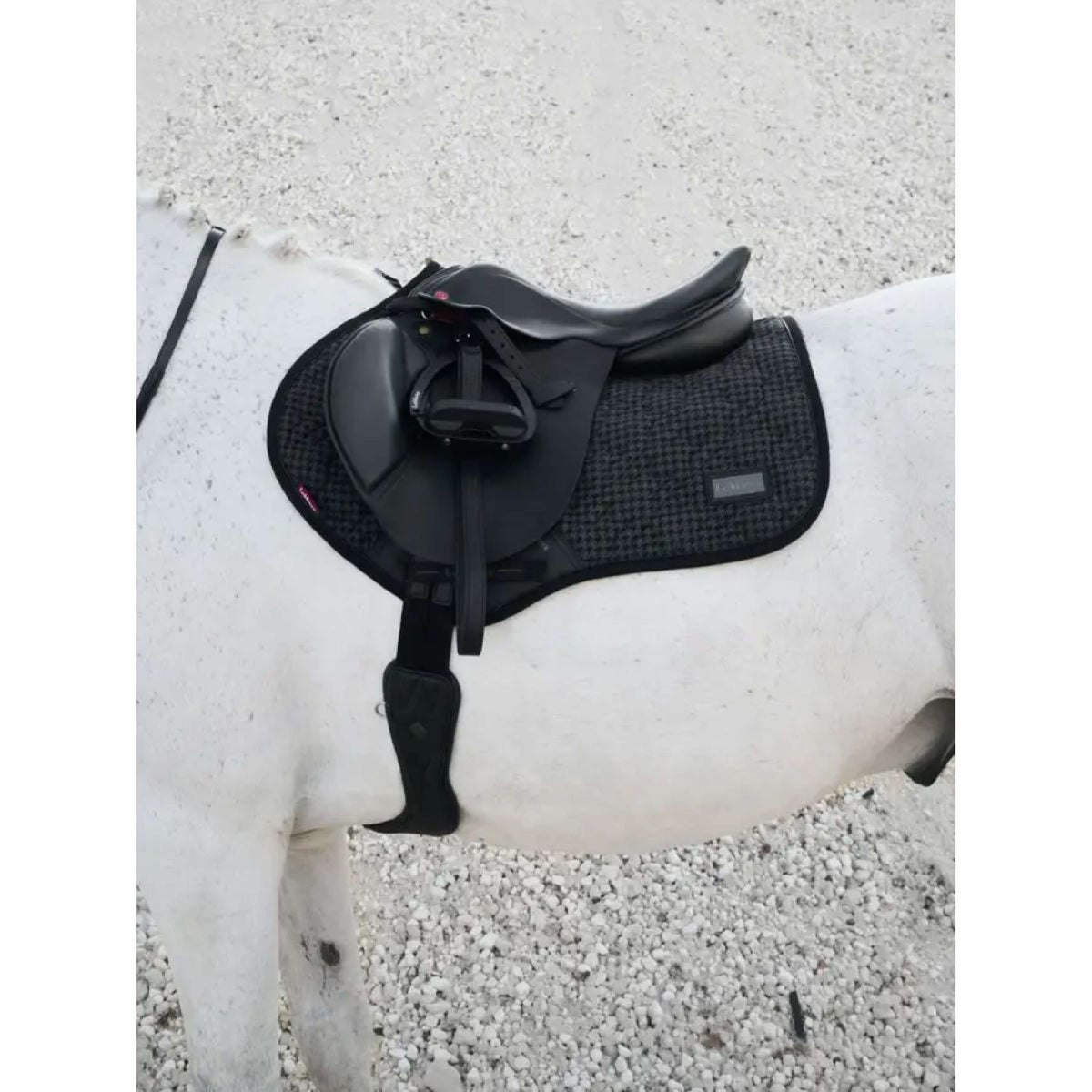LeMieux Sottosella Aspen saltando Houndstooth