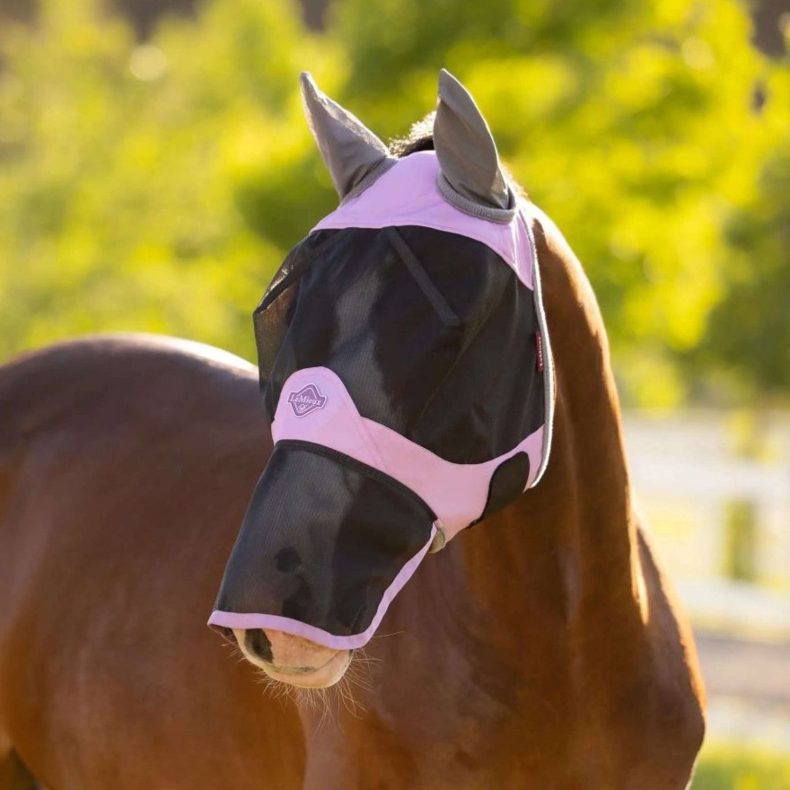 LeMieux Maschera per Mosche Visor-Tek Con Rete per Naso Fondant