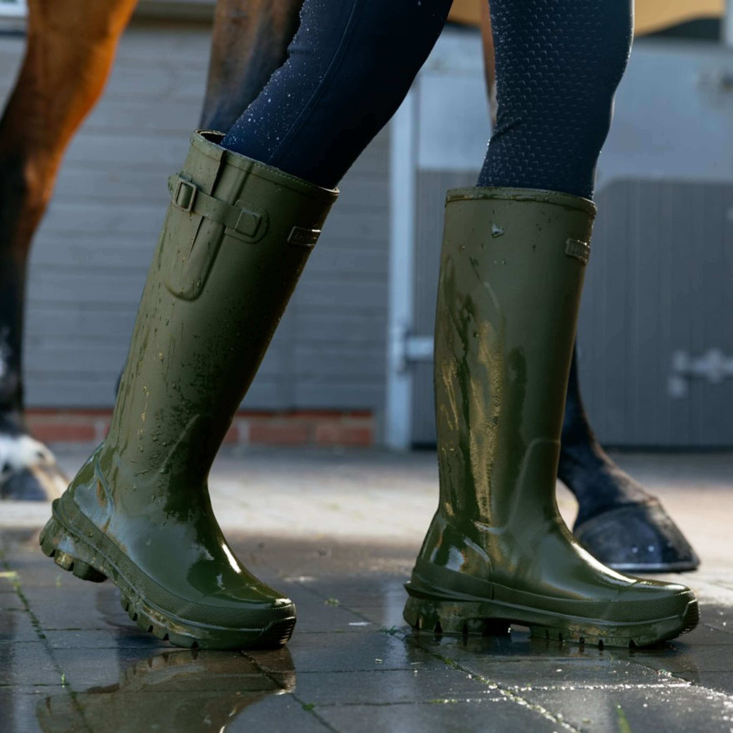 LeMieux Stivali da pioggia Bramshaw Wellington Olive
