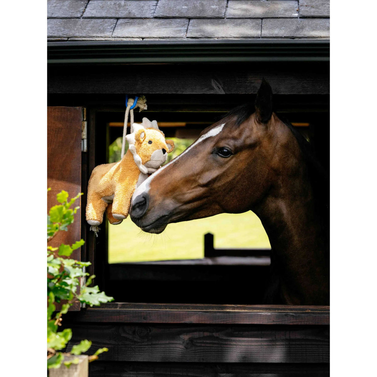 LeMieux CavalloGiocattolo Lion Arancia