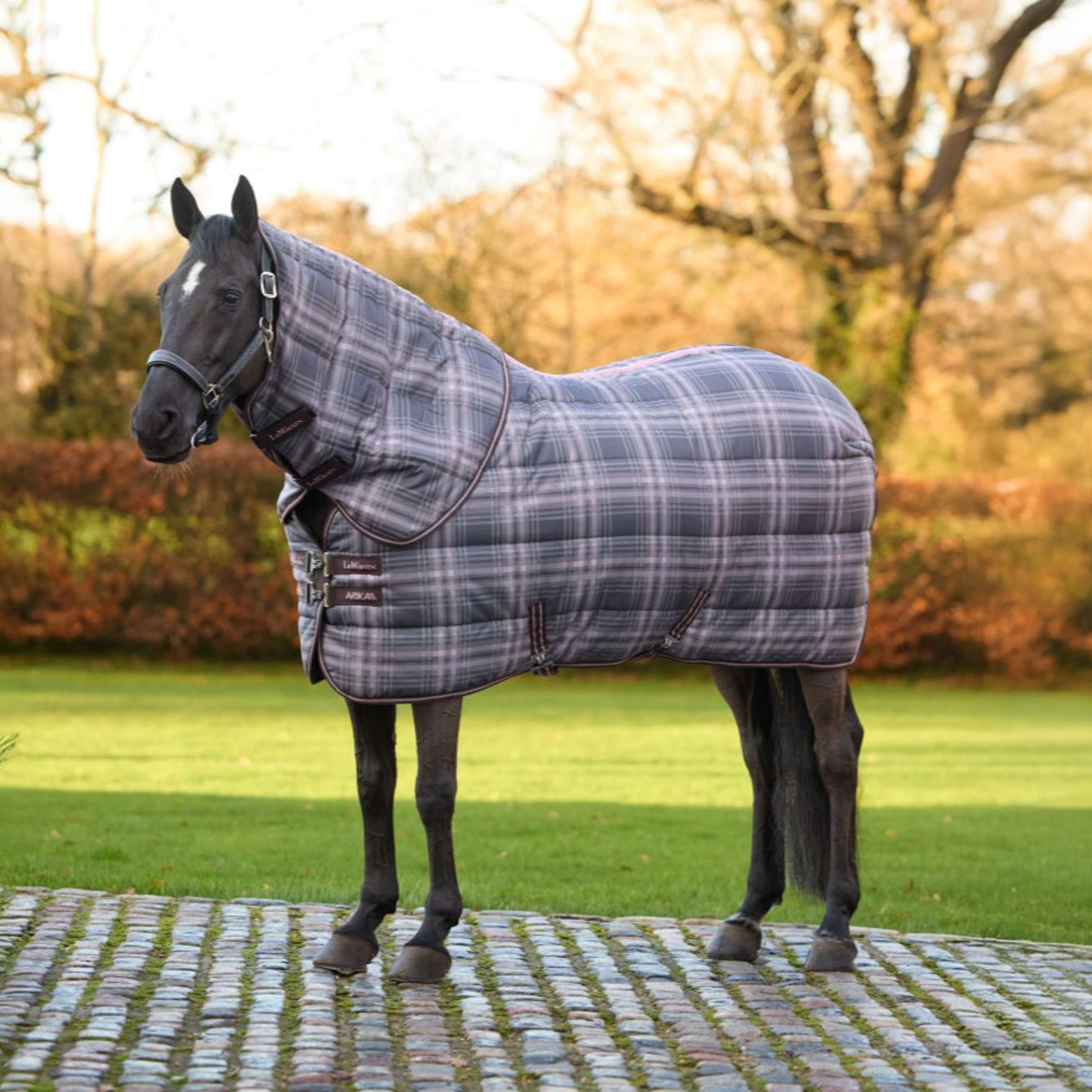 LeMieux Coperta da scuderia Arika Heritage Check with Neck 200g Cocoa