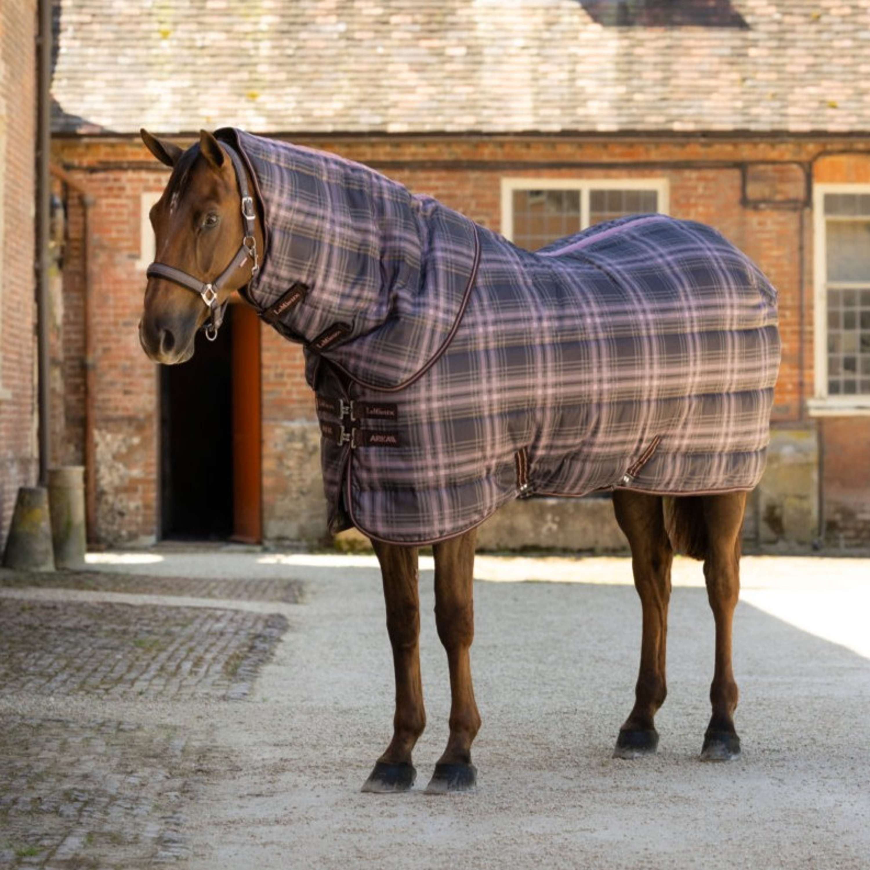 LeMieux Coperta da scuderia Arika Heritage Check with Neck 200g Cocoa