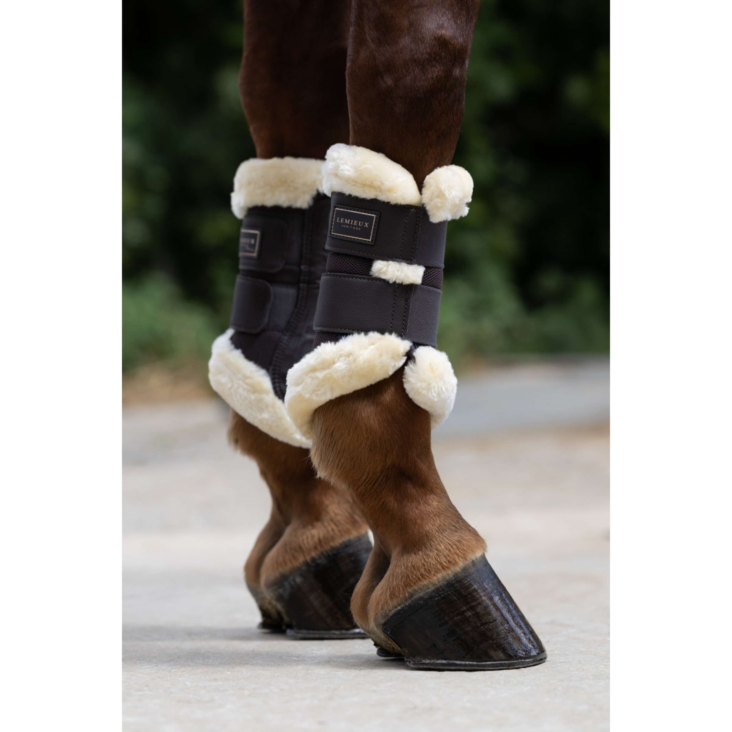 LeMieux Parastinchi Heritage Fleece Edged Cocoa