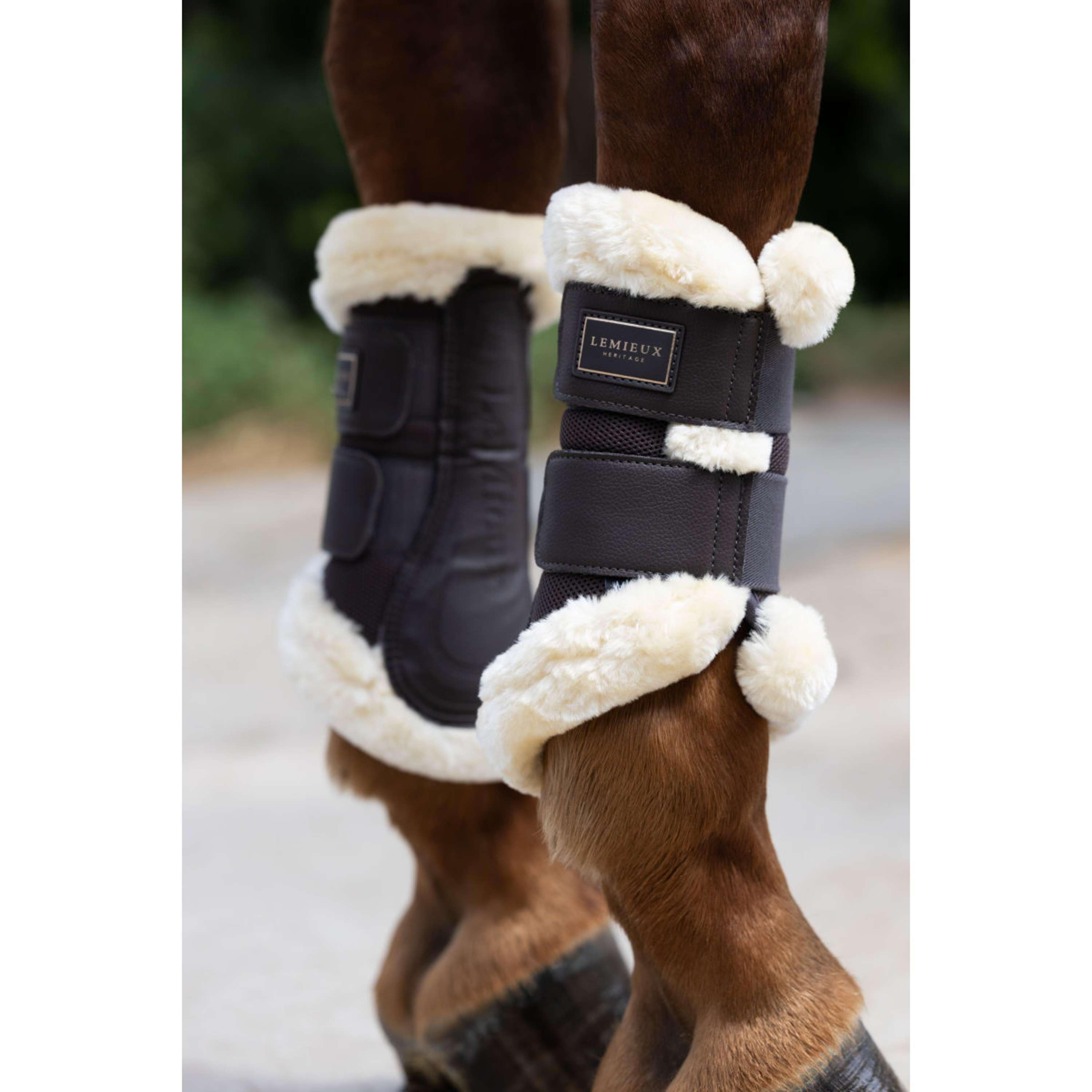 LeMieux Parastinchi Heritage Fleece Edged Cocoa