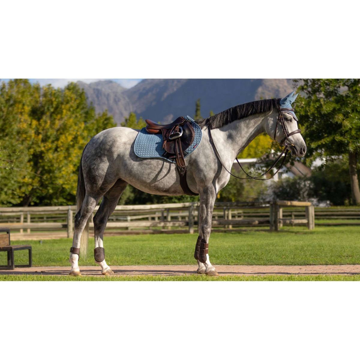 LeMieux Sottosella Suede Square Close Contact Ice Blue