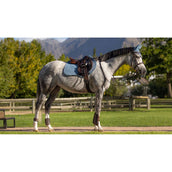 LeMieux Sottosella Suede Square Close Contact Ice Blue