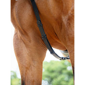 LeMieux Pettorina Kudos Bridge Nero