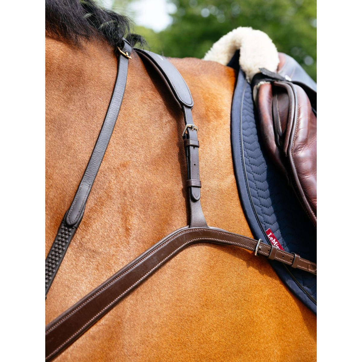 LeMieux Pettorina Kudos Bridge L'Avana