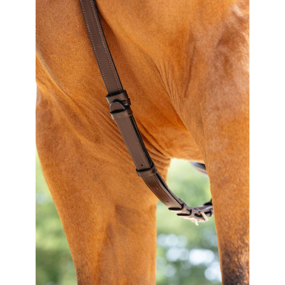 LeMieux Pettorina Kudos Bridge L'Avana