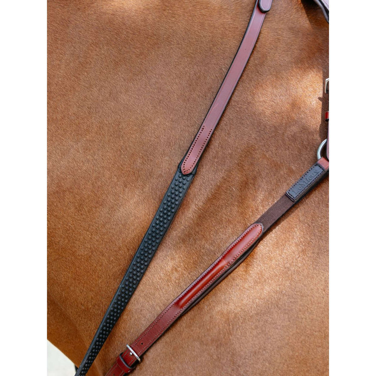 LeMieux Pettorina D-Ring Attachment Castagno