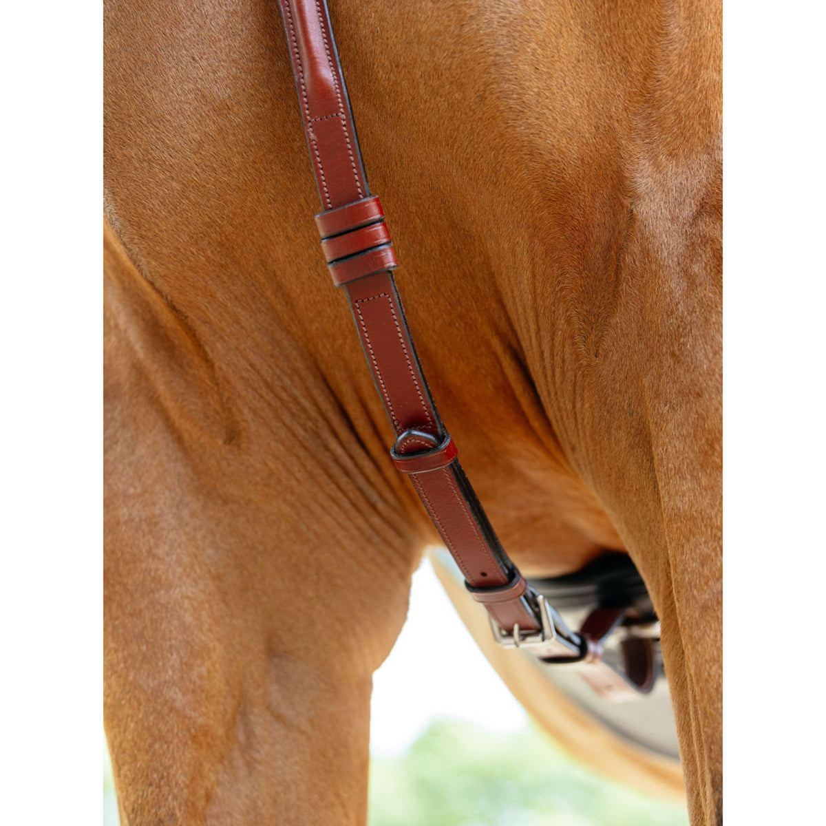 LeMieux Pettorina D-Ring Attachment Castagno