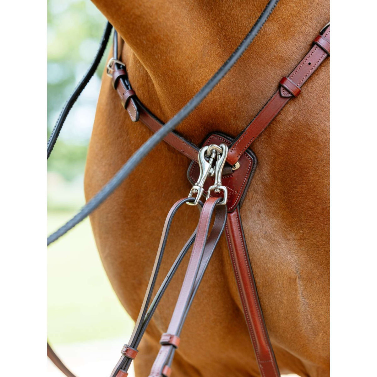 LeMieux Pettorina D-Ring Attachment Castagno