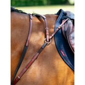 LeMieux Pettorina D-Ring Attachment Castagno