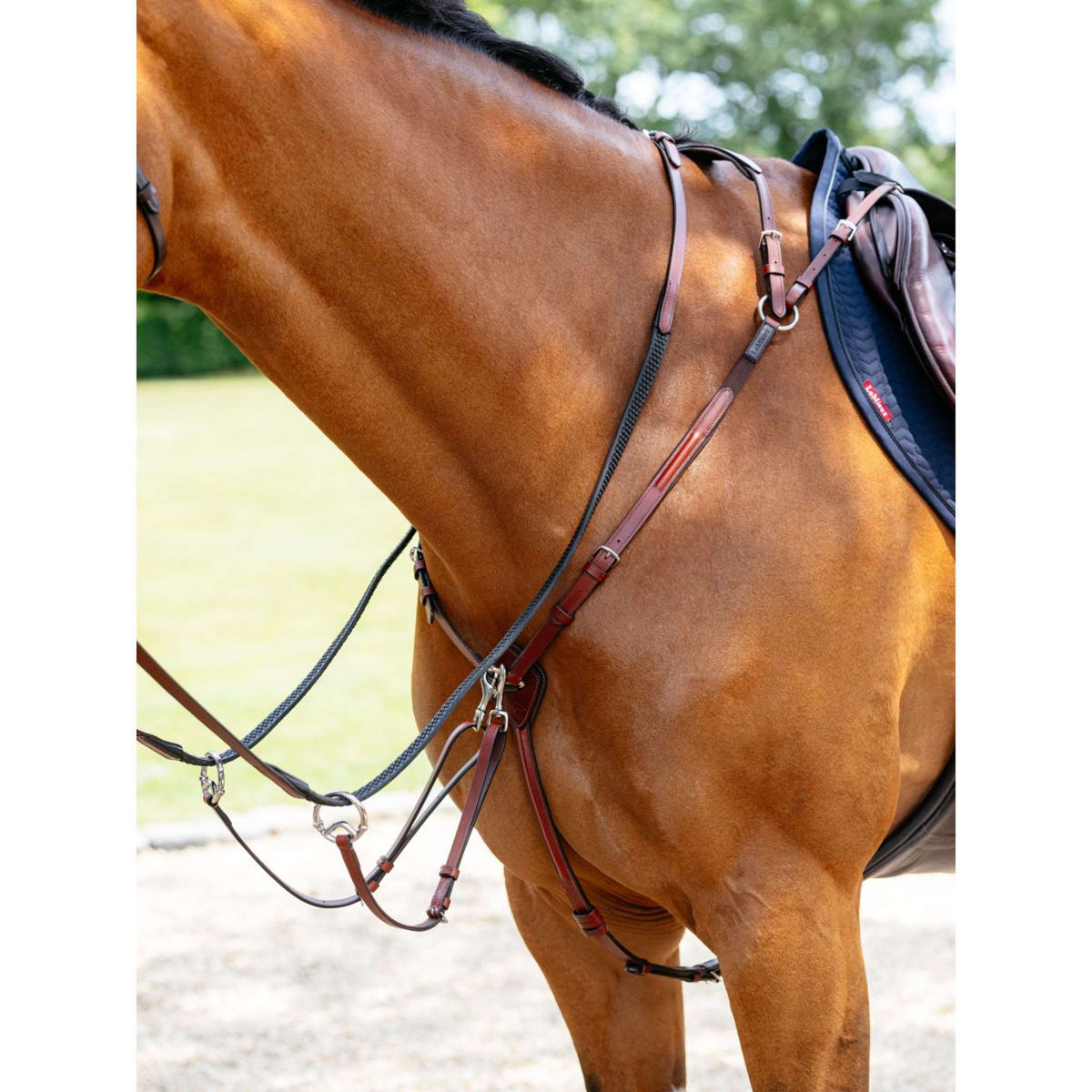 LeMieux Pettorina D-Ring Attachment Castagno