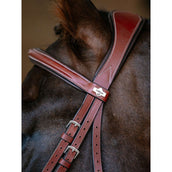 LeMieux Briglia Kudos Grackle Castagno