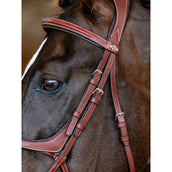 LeMieux Briglia Kudos Grackle Castagno