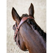 LeMieux Briglia Kudos Grackle Castagno