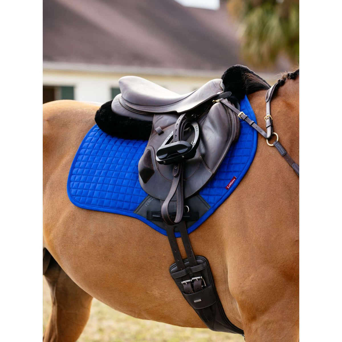 LeMieux Sottosella Suede Square Close Contact Benetton