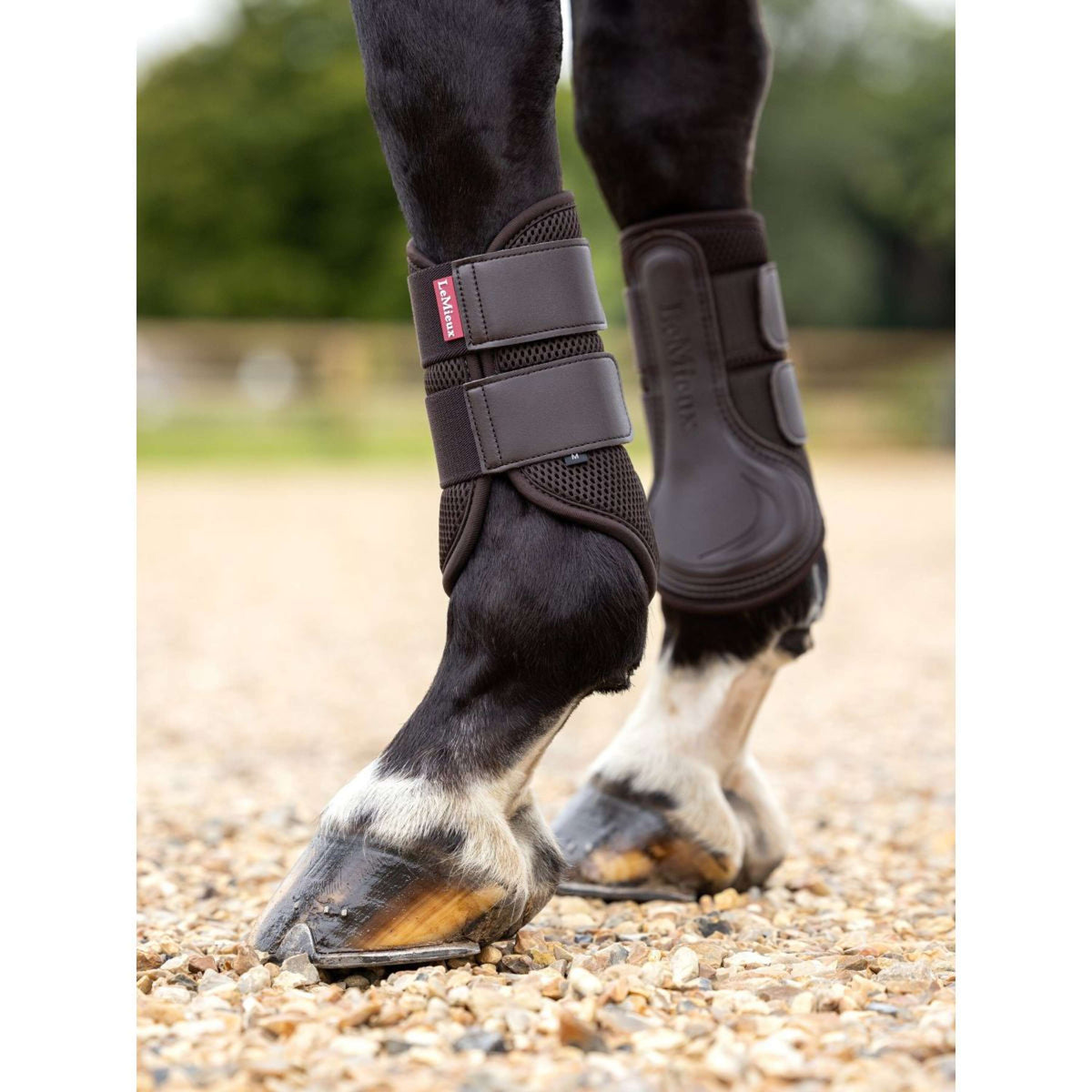 LeMieux Parastinchi Mesh Brushing New Marrone