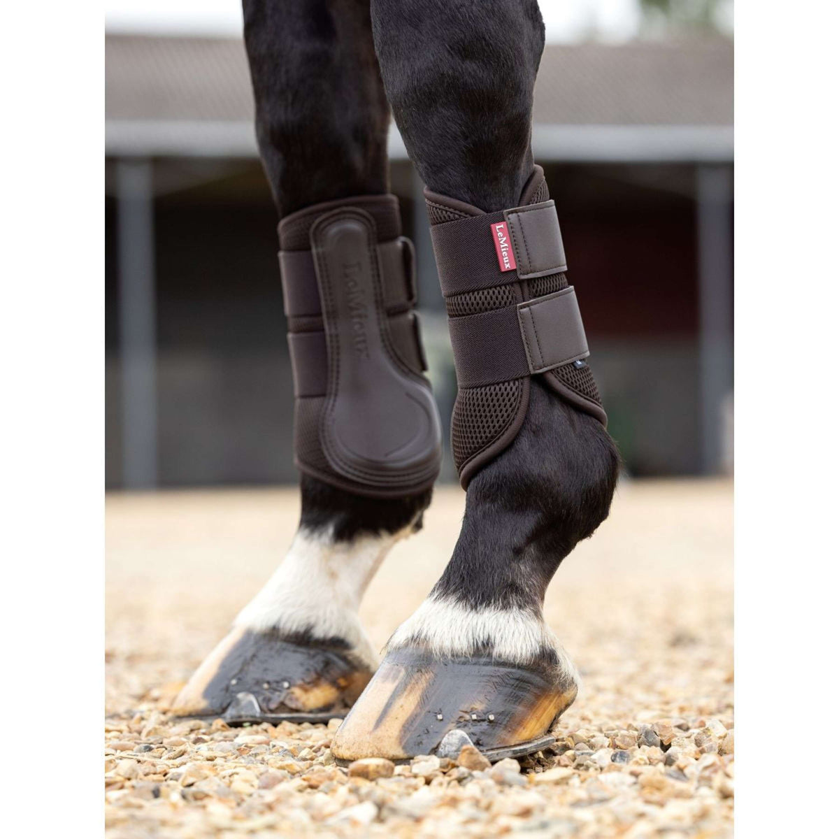 LeMieux Parastinchi Mesh Brushing New Marrone