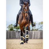LeMieux Stivali da dressage Motionflex Nero